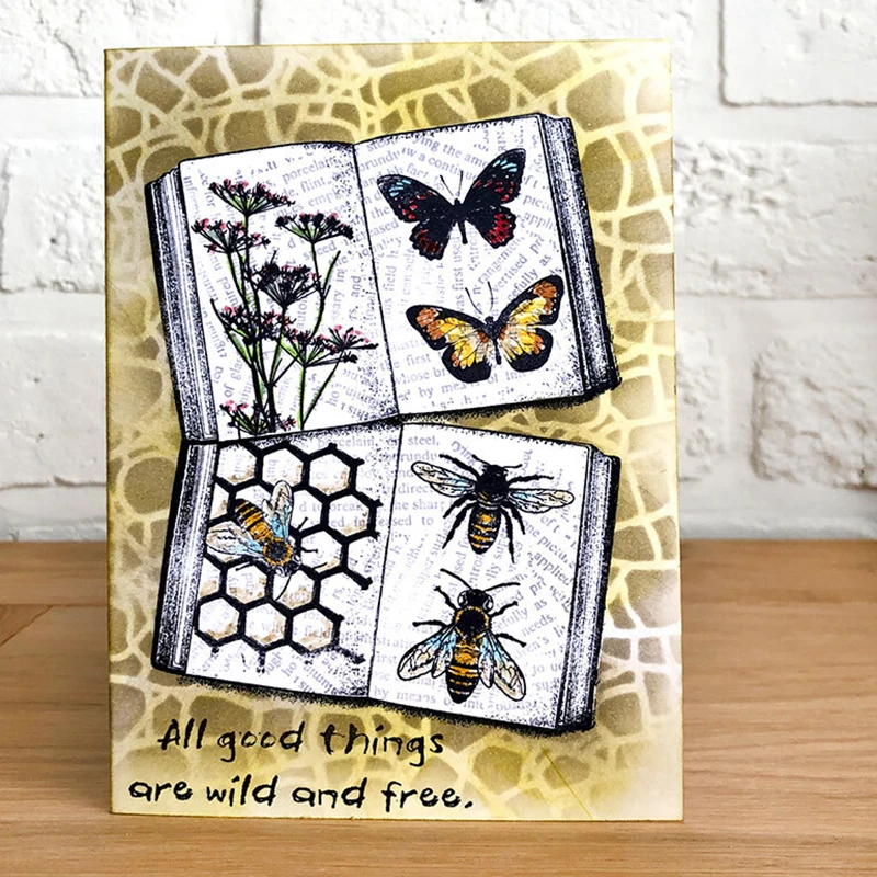 Timbres transparents à motif d - Candle Making Books avis et prix